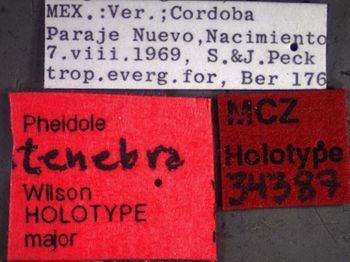 Media type: image;   Entomology 34387 Aspect: labels